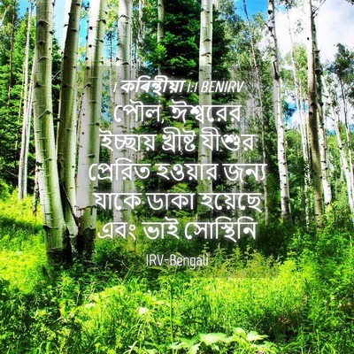 Picture 04 - 1 কৰিন্থীয়া 1:1 BENIRV - পৌল, ঈশ্বরের - Bible Verse Picture