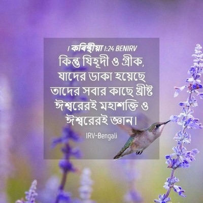 Picture 04 - 1 কৰিন্থীয়া 1:24 BENIRV - কিন্তু যিহূদী ও - Bible Verse Picture