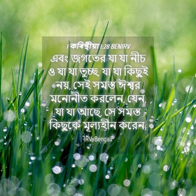 Picture 04 - 1 কৰিন্থীয়া 1:28 BENIRV - এবং জগতের যা যা নীচ - Bible Verse Picture