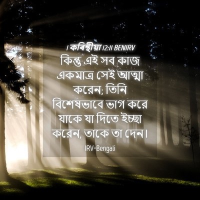Picture 04 - 1 কৰিন্থীয়া 12:11 BENIRV - কিন্তু এই সব কাজ - Bible Verse Picture