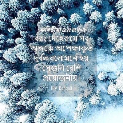 Picture 04 - 1 কৰিন্থীয়া 12:22 BENIRV - বরং দেহের যে সব - Bible Verse Picture