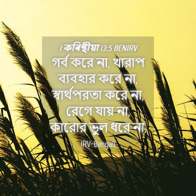 Picture 04 - 1 কৰিন্থীয়া 13:5 BENIRV - গর্ব করে না, খারাপ - Bible Verse Picture