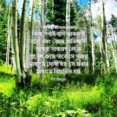 Picture 04 - 1 কৰিন্থীয়া 14:24 BENIRV - কিন্তু সবাই যদি - Bible Verse Picture