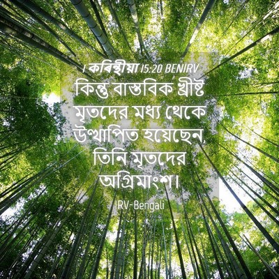 Picture 04 - 1 কৰিন্থীয়া 15:20 BENIRV - কিন্তু বাস্তবিক - Bible Verse Picture