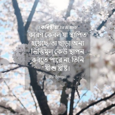 Picture 04 - 1 কৰিন্থীয়া 3:11 BENIRV - কারণ কেবল যা - Bible Verse Picture