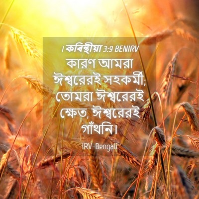 Picture 04 - 1 কৰিন্থীয়া 3:9 BENIRV - কারণ আমরা - Bible Verse Picture