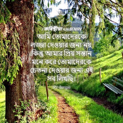 Picture 04 - 1 কৰিন্থীয়া 4:14 BENIRV - আমি তোমাদেরকে - Bible Verse Picture
