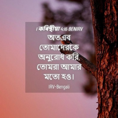 Picture 04 - 1 কৰিন্থীয়া 4:16 BENIRV - অতএব তোমাদেরকে - Bible Verse Picture