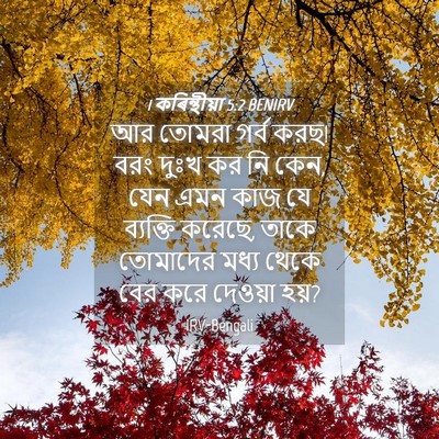 Picture 04 - 1 কৰিন্থীয়া 5:2 BENIRV - আর তোমরা গর্ব করছ! - Bible Verse Picture