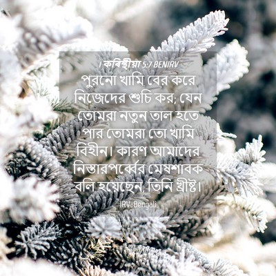 Picture 04 - 1 কৰিন্থীয়া 5:7 BENIRV - পুরনো খামি বের করে - Bible Verse Picture