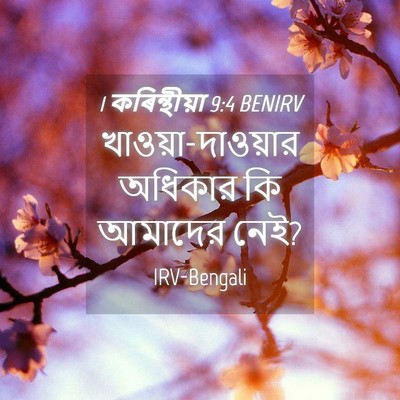 Picture 04 - 1 কৰিন্থীয়া 9:4 BENIRV - খাওয়া-দাওয়ার - Bible Verse Picture