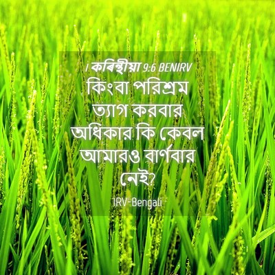 Picture 04 - 1 কৰিন্থীয়া 9:6 BENIRV - কিংবা পরিশ্রম - Bible Verse Picture