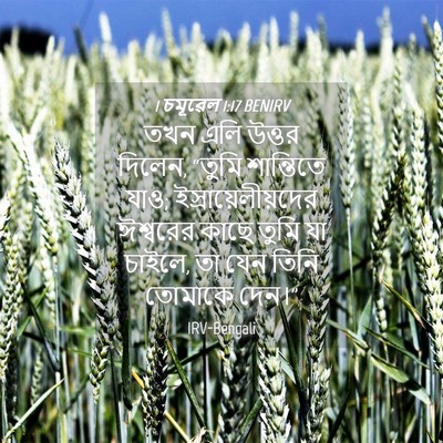 Picture 04 - 1 চমূৱেল 1:17 BENIRV - তখন এলি উত্তর - Bible Verse Picture