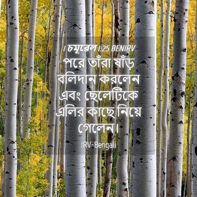 Picture 04 - 1 চমূৱেল 1:25 BENIRV - পরে তাঁরা ষাঁড় - Bible Verse Picture