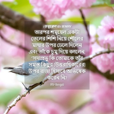 Picture 04 - 1 চমূৱেল 10:1 BENIRV - তারপর শমূয়েল - Bible Verse Picture
