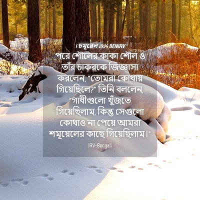 Picture 04 - 1 চমূৱেল 10:14 BENIRV - পরে শৌলের কাকা শৌল - Bible Verse Picture