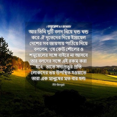 Picture 04 - 1 চমূৱেল 11:7 BENIRV - আর তিনি দুটি বলদ - Bible Verse Picture