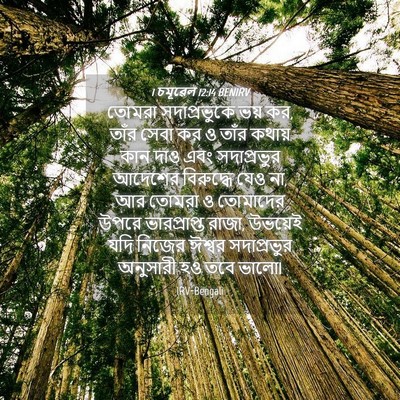 Picture 04 - 1 চমূৱেল 12:14 BENIRV - তোমরা সদাপ্রভুকে - Bible Verse Picture