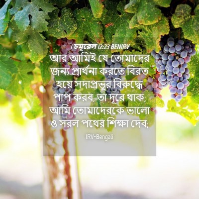 Picture 04 - 1 চমূৱেল 12:23 BENIRV - আর আমিই যে তোমাদের - Bible Verse Picture