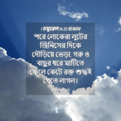 Picture 04 - 1 চমূৱেল 14:32 BENIRV - পরে লোকেরা লুটের - Bible Verse Picture