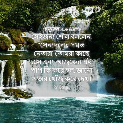 Picture 04 - 1 চমূৱেল 14:38 BENIRV - সেইজন্য শৌল বললেন, - Bible Verse Picture