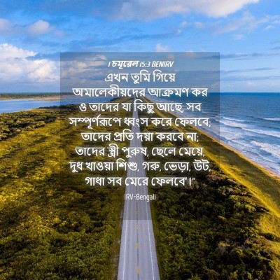 Picture 04 - 1 চমূৱেল 15:3 BENIRV - এখন তুমি গিয়ে - Bible Verse Picture