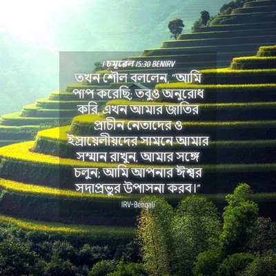 Picture 04 - 1 চমূৱেল 15:30 BENIRV - তখন শৌল বললেন, “আমি - Bible Verse Picture