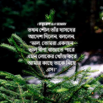 Picture 04 - 1 চমূৱেল 16:17 BENIRV - তখন শৌল তাঁর - Bible Verse Picture