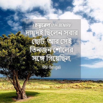 Picture 04 - 1 চমূৱেল 17:14 BENIRV - দায়ূদই ছিলেন - Bible Verse Picture