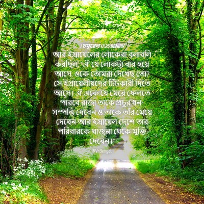 Picture 04 - 1 চমূৱেল 17:25 BENIRV - আর ইস্রায়েলের - Bible Verse Picture