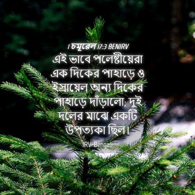 Picture 04 - 1 চমূৱেল 17:3 BENIRV - এই ভাবে - Bible Verse Picture