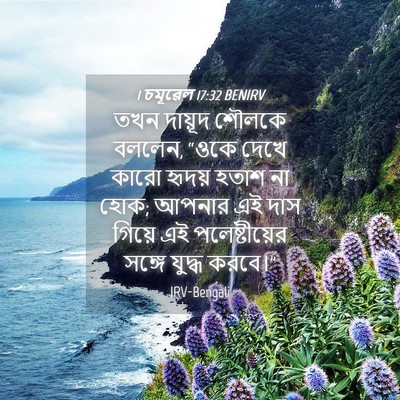 Picture 04 - 1 চমূৱেল 17:32 BENIRV - তখন দায়ূদ শৌলকে - Bible Verse Picture