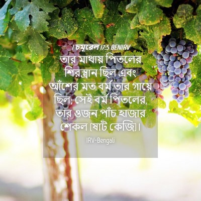 Picture 04 - 1 চমূৱেল 17:5 BENIRV - তার মাথায় পিতলের - Bible Verse Picture
