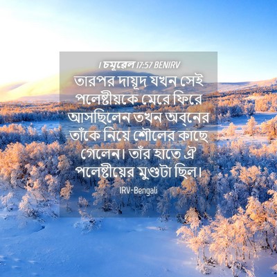 Picture 04 - 1 চমূৱেল 17:57 BENIRV - তারপর দায়ূদ যখন - Bible Verse Picture