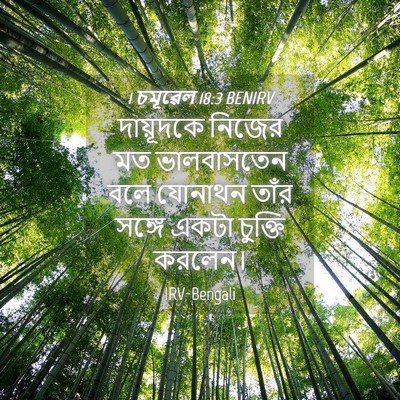 Picture 04 - 1 চমূৱেল 18:3 BENIRV - দায়ূদকে নিজের মত - Bible Verse Picture