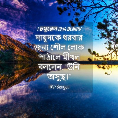 Picture 04 - 1 চমূৱেল 19:14 BENIRV - দায়ূদকে ধরবার - Bible Verse Picture