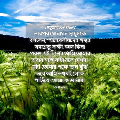 Picture 04 - 1 চমূৱেল 20:12 BENIRV - তারপর যোনাথন - Bible Verse Picture