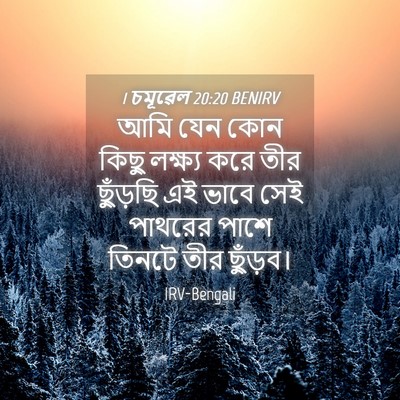Picture 04 - 1 চমূৱেল 20:20 BENIRV - আমি যেন কোন কিছু - Bible Verse Picture