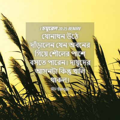 Picture 04 - 1 চমূৱেল 20:25 BENIRV - যোনাথন উঠে - Bible Verse Picture