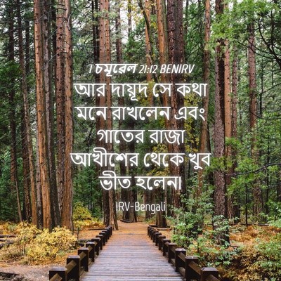 Picture 04 - 1 চমূৱেল 21:12 BENIRV - আর দায়ূদ সে কথা - Bible Verse Picture