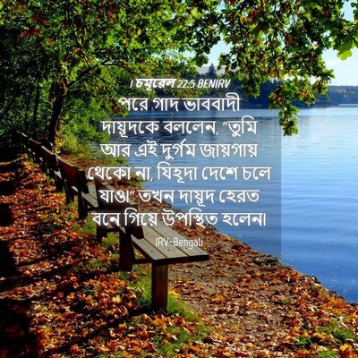 Picture 04 - 1 চমূৱেল 22:5 BENIRV - পরে গাদ ভাববাদী - Bible Verse Picture