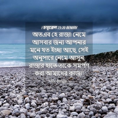 Picture 04 - 1 চমূৱেল 23:20 BENIRV - অতএব হে রাজা! নেমে - Bible Verse Picture