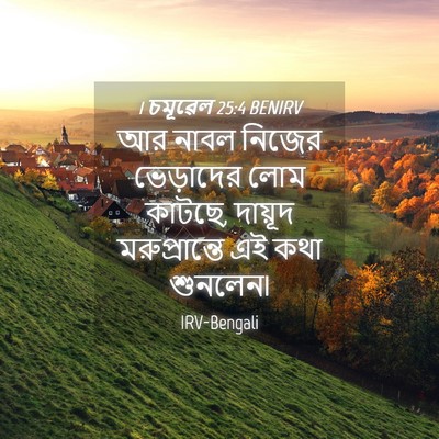Picture 04 - 1 চমূৱেল 25:4 BENIRV - আর নাবল নিজের - Bible Verse Picture