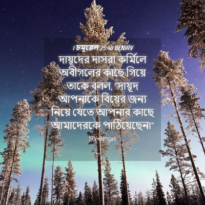 Picture 04 - 1 চমূৱেল 25:40 BENIRV - দায়ূদের দাসরা - Bible Verse Picture