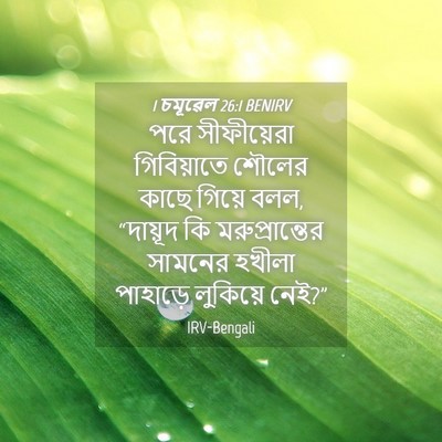 Picture 04 - 1 চমূৱেল 26:1 BENIRV - পরে সীফীয়েরা - Bible Verse Picture