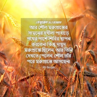 Picture 04 - 1 চমূৱেল 26:3 BENIRV - আর শৌল - Bible Verse Picture