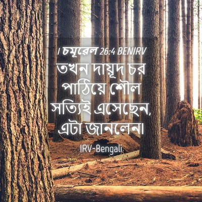 Picture 04 - 1 চমূৱেল 26:4 BENIRV - তখন দায়ূদ চর - Bible Verse Picture