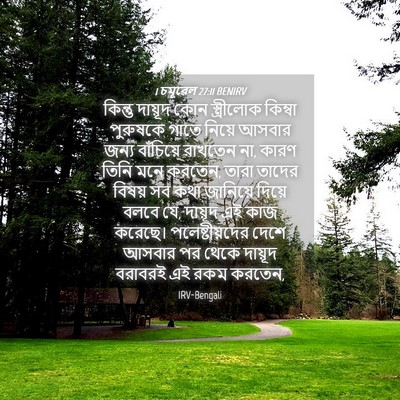 Picture 04 - 1 চমূৱেল 27:11 BENIRV - কিন্তু দায়ূদ কোন - Bible Verse Picture