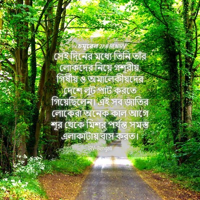 Picture 04 - 1 চমূৱেল 27:8 BENIRV - সেই দিনের মধ্যে - Bible Verse Picture