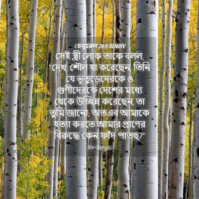 Picture 04 - 1 চমূৱেল 28:9 BENIRV - সেই স্ত্রী লোক - Bible Verse Picture